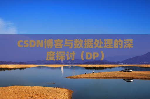 CSDN博客与数据处理的深度探讨（DP）